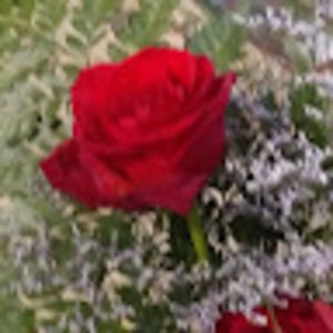 Meet your Posher, Aspen